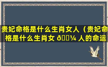 贵妃命格是什么生肖女人（贵妃命格是什么生肖女 🌼 人的命运）